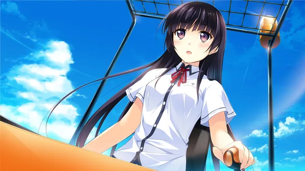 If My Heart Had Wings -Flight Diary- screenshot 7