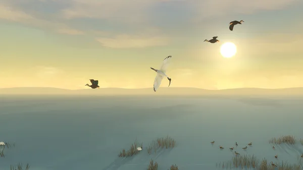 Storm Boy screenshot 4