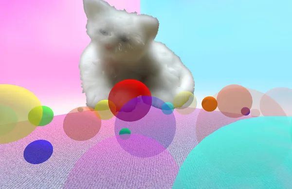 Kitten Love Emulator screenshot 14