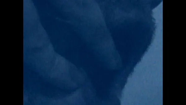 HORSE screenshot 6