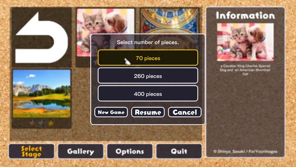 Jigsaw Masterpieces screenshot 2